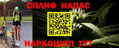 мдпв Новозыбков