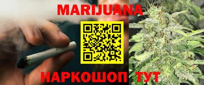 мдпв Новозыбков