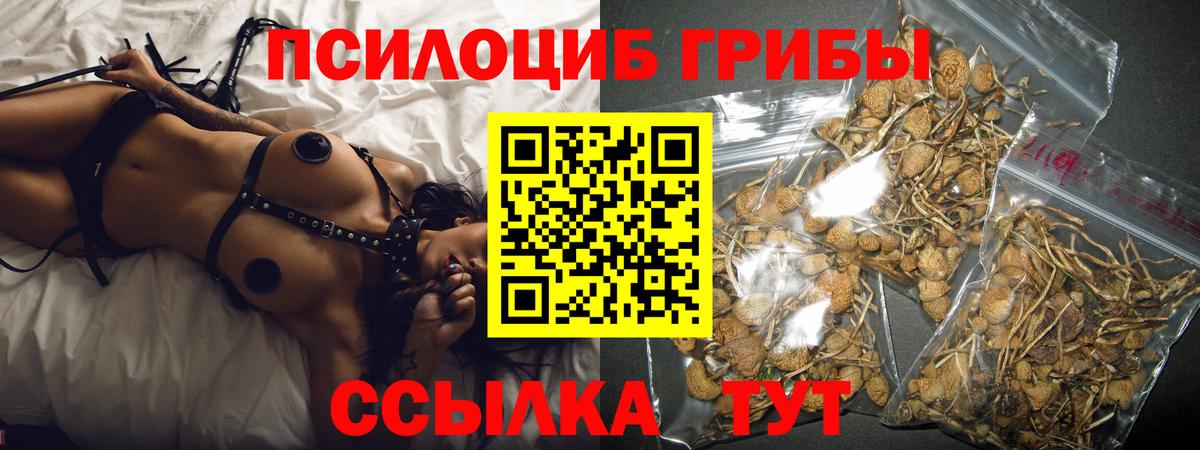Магазины продажи наркотиков  Конопля  Благодарный  LSD-25  ГАШ  ТГК  Вход с VPN  Меф МЯУ МЯУ   A-PVP СК   ГАШИШ 