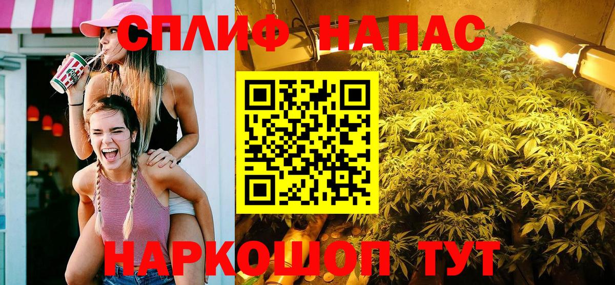 Шишки марихуана план Благодарный